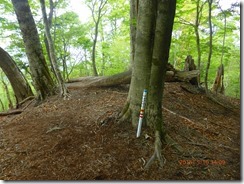 21鴨猪川登山口まで下りてきました