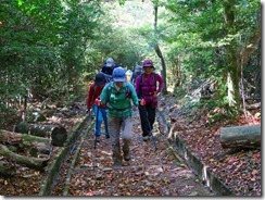 34星ケ城への登山道IMG_2080