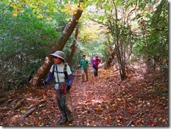 35赤ジュータンの登山道IMG_2087