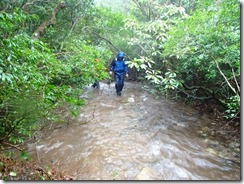 2-05登山道は水があふれています､ここは濡れてもやむなし