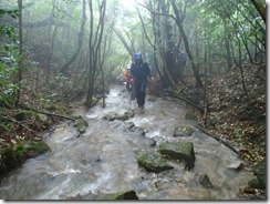 2-07登山道は水があふれています､ここは濡れてもやむなし