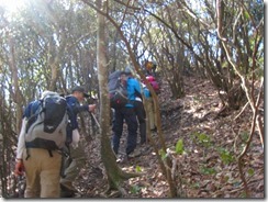 05 城の山への登り