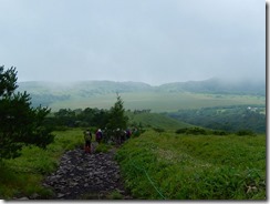 10八島ヶ原湿原へ下る