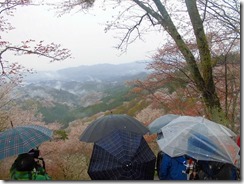 08　花矢倉の撮影スポットには早朝の雨の中でもたくさんの人