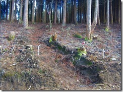 13小金峰登山口に向かいます