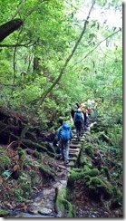 4-10登山道