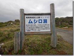 01DSCN2300
