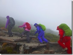 2-08強風冷たい雨の中