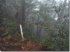 1-07滝コース下山口、通行止めのロープがあります