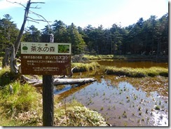 2-03茶水の森、ホソバミズゴケの案内