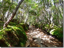 2-08石、岩の登山道、歩きにくい