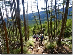 2-10急登の登山道