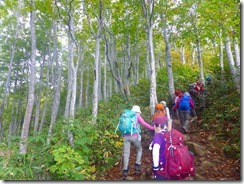 06美しい樹林帯の中を登ります