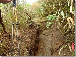 23掘割状態の登山道、大変荒れています