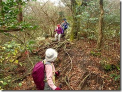 21登山道は見ての通り荒れています