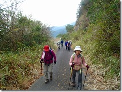 02最終登山口まで少し舗装道を歩きました