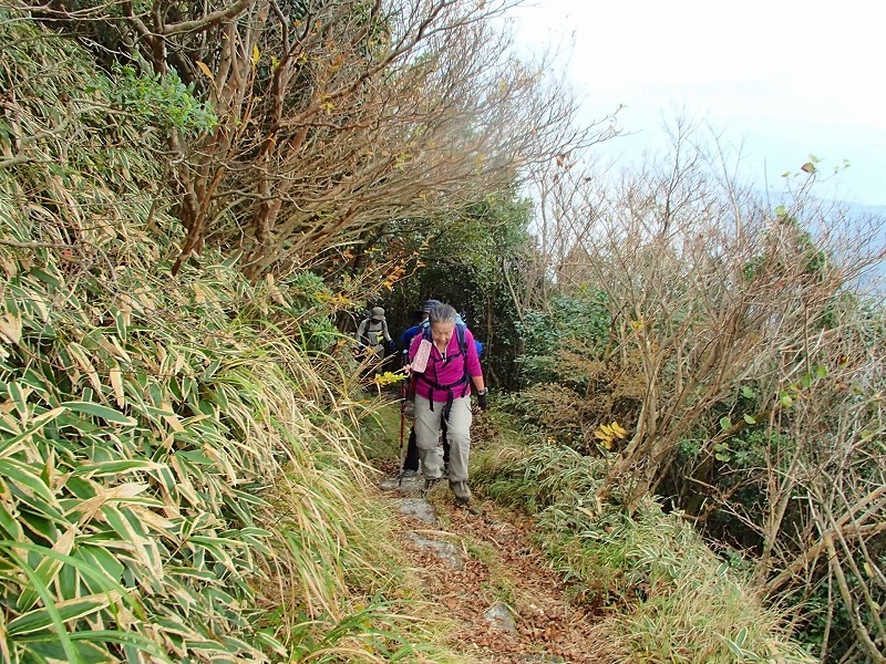 御岳～大箆柄岳縦走(高隈山系、鹿児島県、九州百名山)