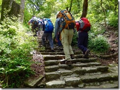 3最初は樹林帯の中の道