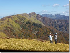 15シコクササの向こうに三嶺、次郎笈､剣山