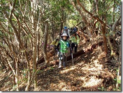 05登山道は主尾根通しに歩く