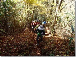 27歩きやすい登山道ですが、階段幅が高いのでキツイ