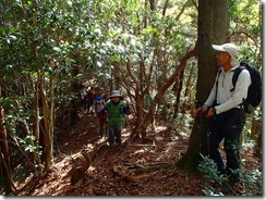 13急坂を下りながらカシノキヅルへ下山