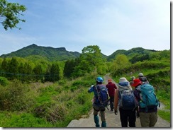 04農道から津波戸山、新緑で岩峰が見えません