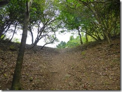 33東峰、西峰の分岐に上がってきました