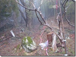 02林道から登山道へ