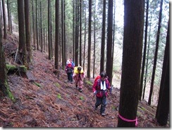 07植林帯の登山道