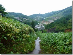 1-17P1080299