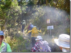 05林道を外れ山道に入ります