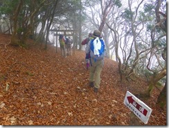 12山頂下の鳥居をくぐりますP1100403