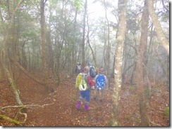 22林道への下山道