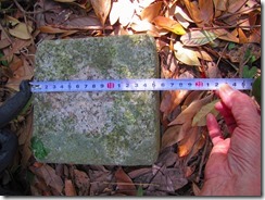 07IMG_8426
