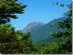 39下山時、木々の間から平成新山が顔を覗かせました