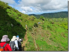 28登山道脇は耕作地です