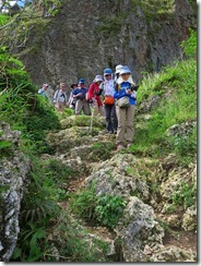 27下りは別の登山道、石灰岩がむき出しです