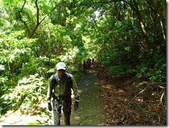 02登山口まで林道歩きです