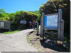 1-01IMG_3386