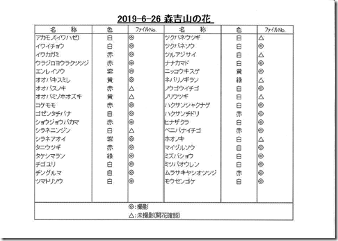 201907021037_0001-1 - コピー