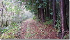 2-03しばらく歩きやすい登山道