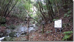 2-04東屋の前を渡ります、水量が多いです