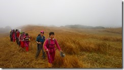 1-04草地を歩きます