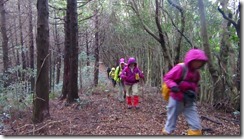 3-21穏やかな登山道から下山口へ