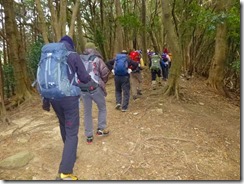 04樹林帯を登っていきます