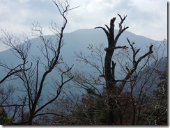 2-40大崩山が見えました