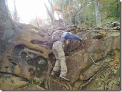 2-42新道登山口への下り