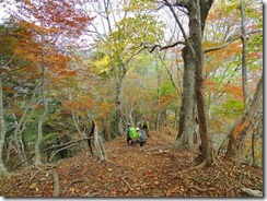 2-43新道登山口への下り