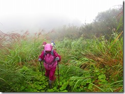 1-10登山道は草が伸び放題